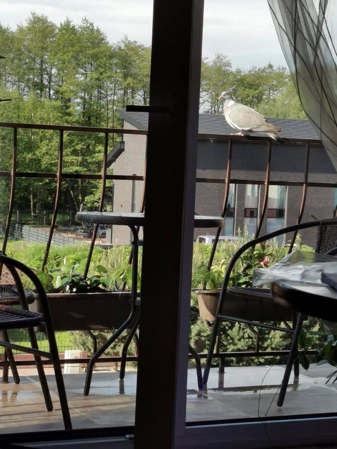 Neringa Apartamentai 帕兰加 外观 照片